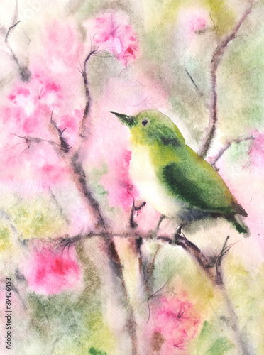 Fototapeta na wymiar Water color drawing of a small green bird