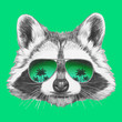 Hand drawn portrait of Raccoon with mirror sunglasses. Vector isolated elements.