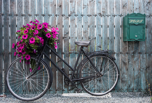 Naklejka - mata magnetyczna na lodówkę old vintage bicycle with flower basket 