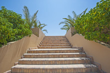 Stone Steps In A Tropical Garden