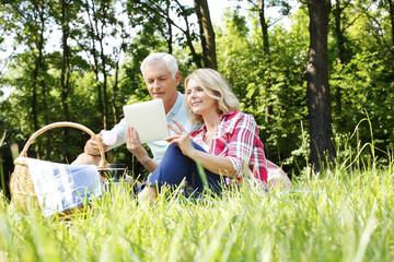 Poster - Senior couple having picnic