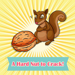 Poster - Squirrel looking at a nut..