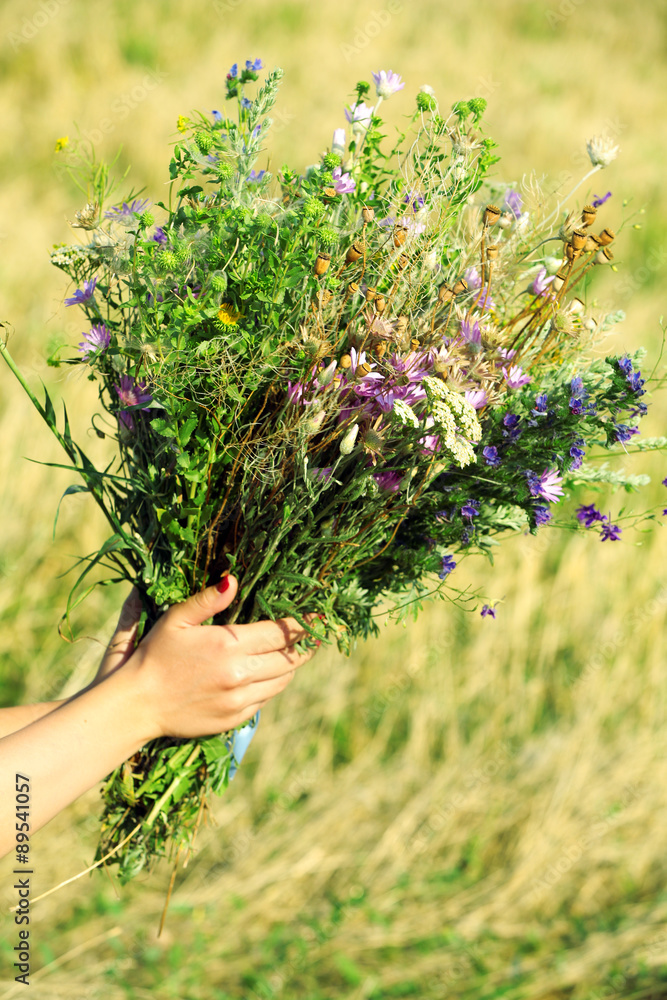 Female hands with bouquet of wildflowers over field background