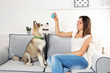© Africa Studio - Woman playing with malamute dog on sofa in room