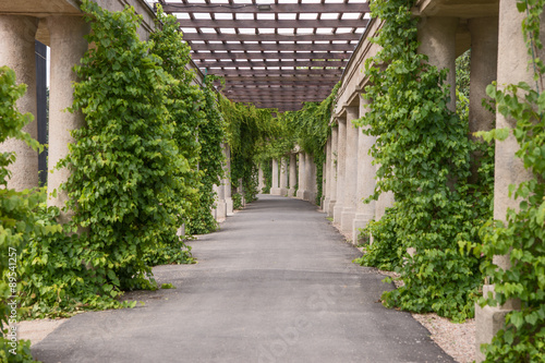 Naklejka na kafelki Pergola, Park in Breslau, Wroclaw