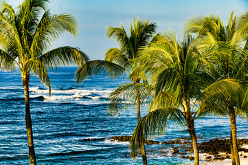 Wall Mural - Palm trees on an exotic beach.