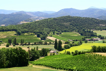 paysage de montagne,nature et champs,en drôme,isère