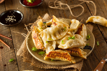 Poster - Homemade Asian Pork Potstickers