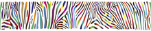 Background With Multicolored Zebra Skin 