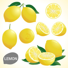 Wall Mural - Set of fresh yellow lemon fruit in various styles vector format