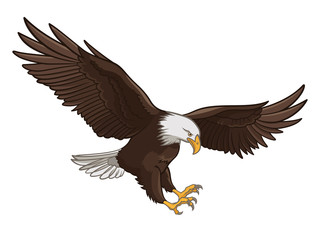 eagle 001