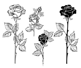 Wall Mural - set of contour roses