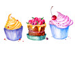 © helgafo - Watercolor cupcake set