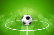 © nVadym - Soccer Ball on Green Background