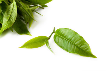 Poster - green tea leaf isolated on white background