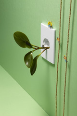 Wall Mural - energy