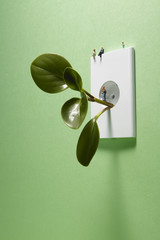 Wall Mural - energy