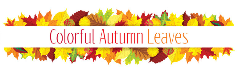 Poster - Colorful autumn leaves border