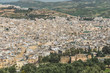 The aerial view of Fes city town in Morocco