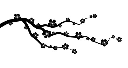 Peach or cherry blossom tree branch with flowers flat vector graphic