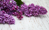 Fototapeta Lawenda - Lilac flowers