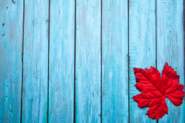 Canvas Print - Autumn Thanksgiving Background