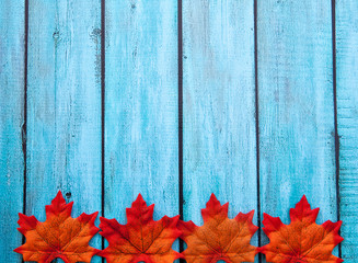 Canvas Print - Autumn Thanksgiving Background