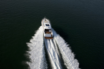 Wall Mural - A fast speedboat sailing in a sea