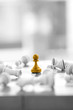 © alice_photo - Chess business concept, leader & success