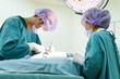 © nimon_t - two veterinarian surgeons in operating room