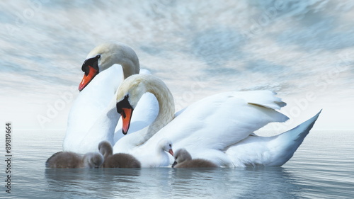 Naklejka na meble Swan family - 3D render