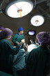 group of veterinarian doctor in operation room for laparoscopic surgical