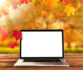 laptop on wooden table in autumn season