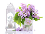 Fototapeta Lawenda - 
Lilac flowers decoration on a white background