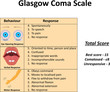 Glasgow Coma Scale Illustration