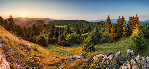 Wall Mural - spruce forest green mountain landscape panorama sunset, slovakia