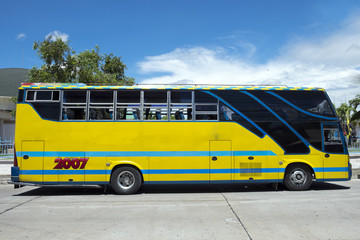 yellow bus