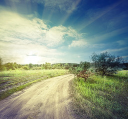 Wall Mural - winding sandy road in field