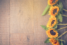 Autumn Background With Sunflowers. View From Above. Retro Filter Effect