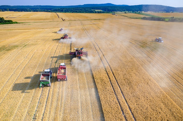 Combines and tractors working on the wheat field