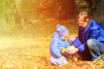 father and little son collecting leaves in autumn park