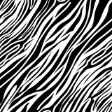 Fototapeta Zebra - Animal print design.