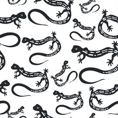 pattern outline drawing black lizard isolated on a white backgro