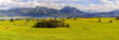 Panorama Landschaft im Allgäu in Bayern mit Berge der Alpen mit Forggensee