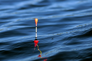 fishing float on the water