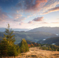 Wall Mural - beautiful autumn in mountains at sunset time. trees, peaks, clo