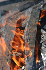 fire wood background