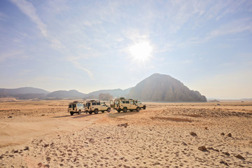 Wall Mural - Safari Jeeps in the desert in Egypt