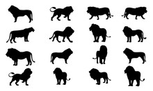 Lion Silhouette, Set Vector Animals Icons