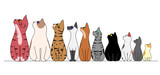 Fototapeta Koty - cats in a row,looking away